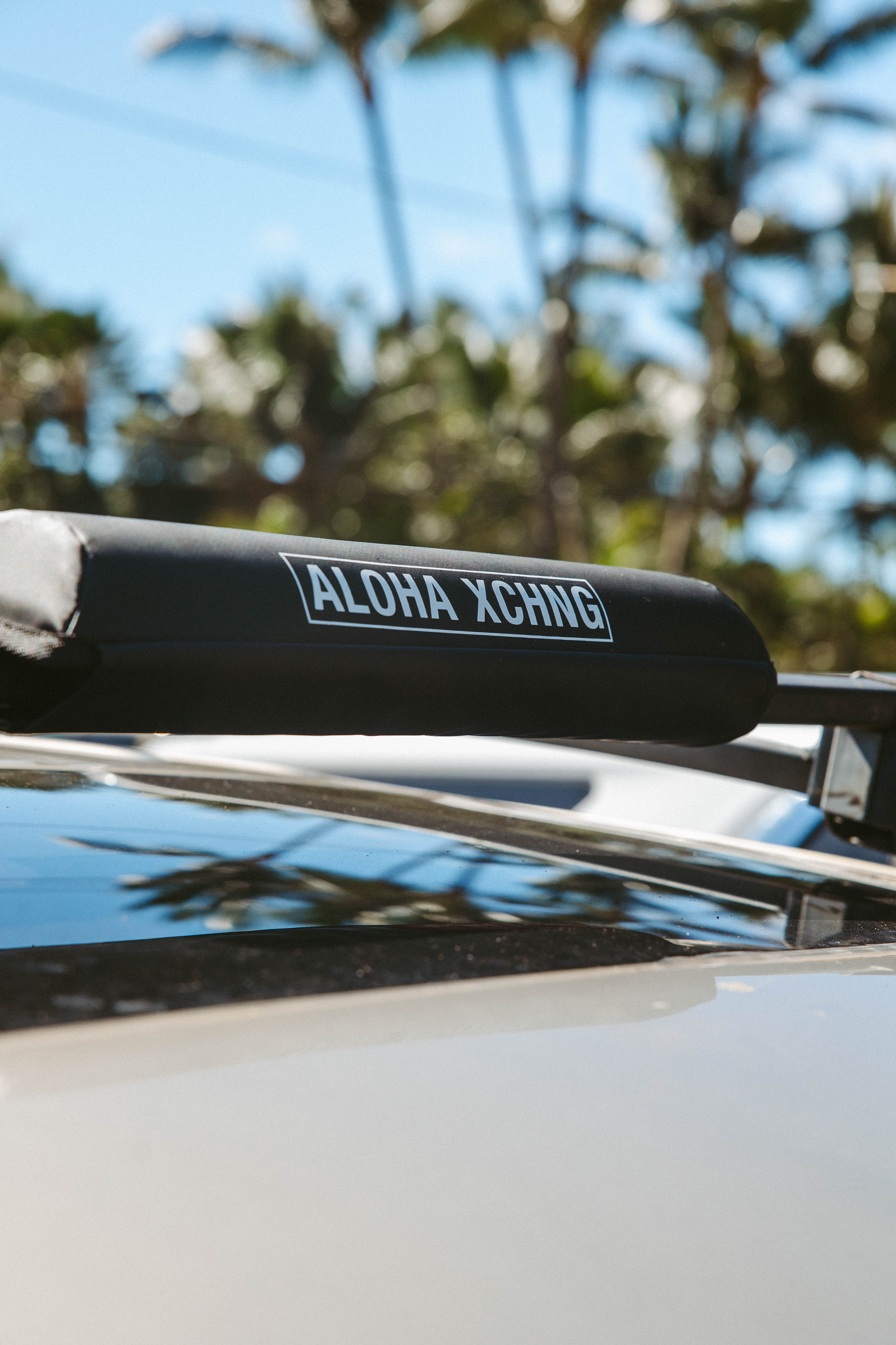 Dakine roof rack online pads