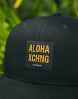 Box Logo Structured Trucker