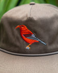 I'iwi Embroidered 5 Panel Unstructured Hat