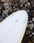 Channel Islands Twin Pin 5'8"
