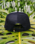 Boingo Foam Trucker