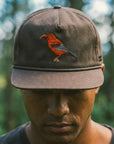 I'iwi Embroidered 5 Panel Unstructured Hat - Brown