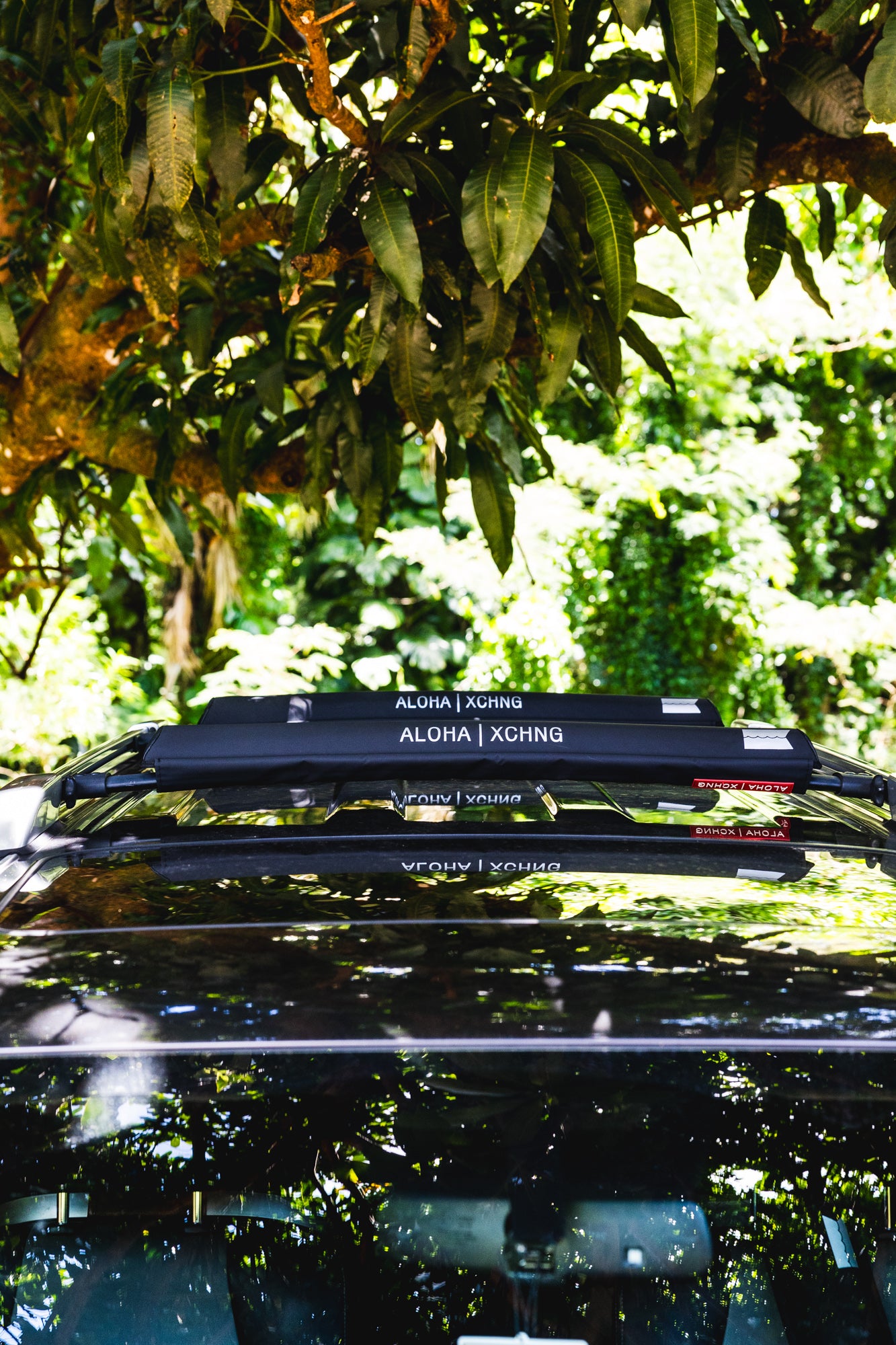 AX NEW Aero Rack Pad 28