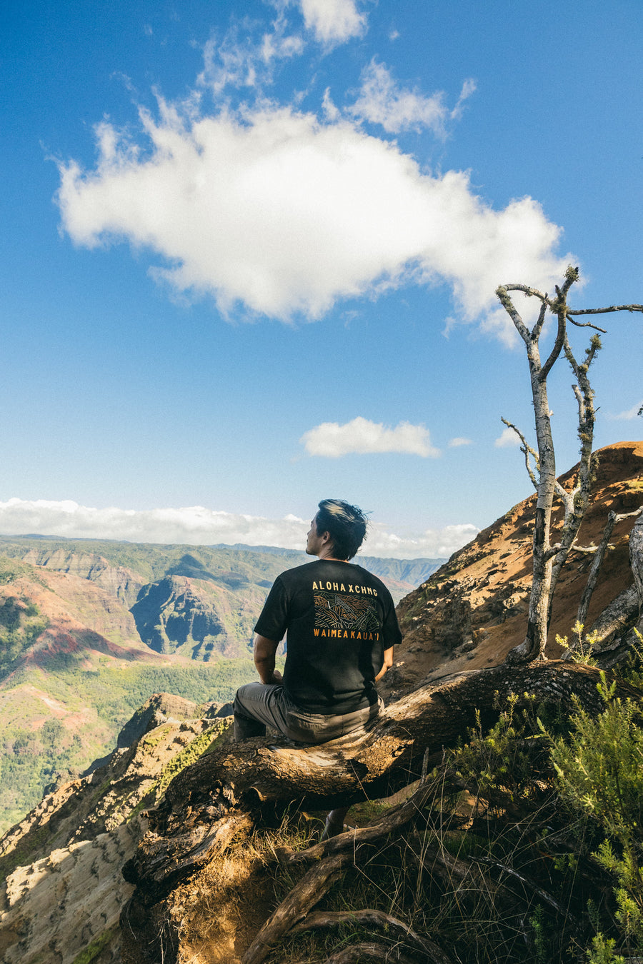 M's Waimea Canyon Tee