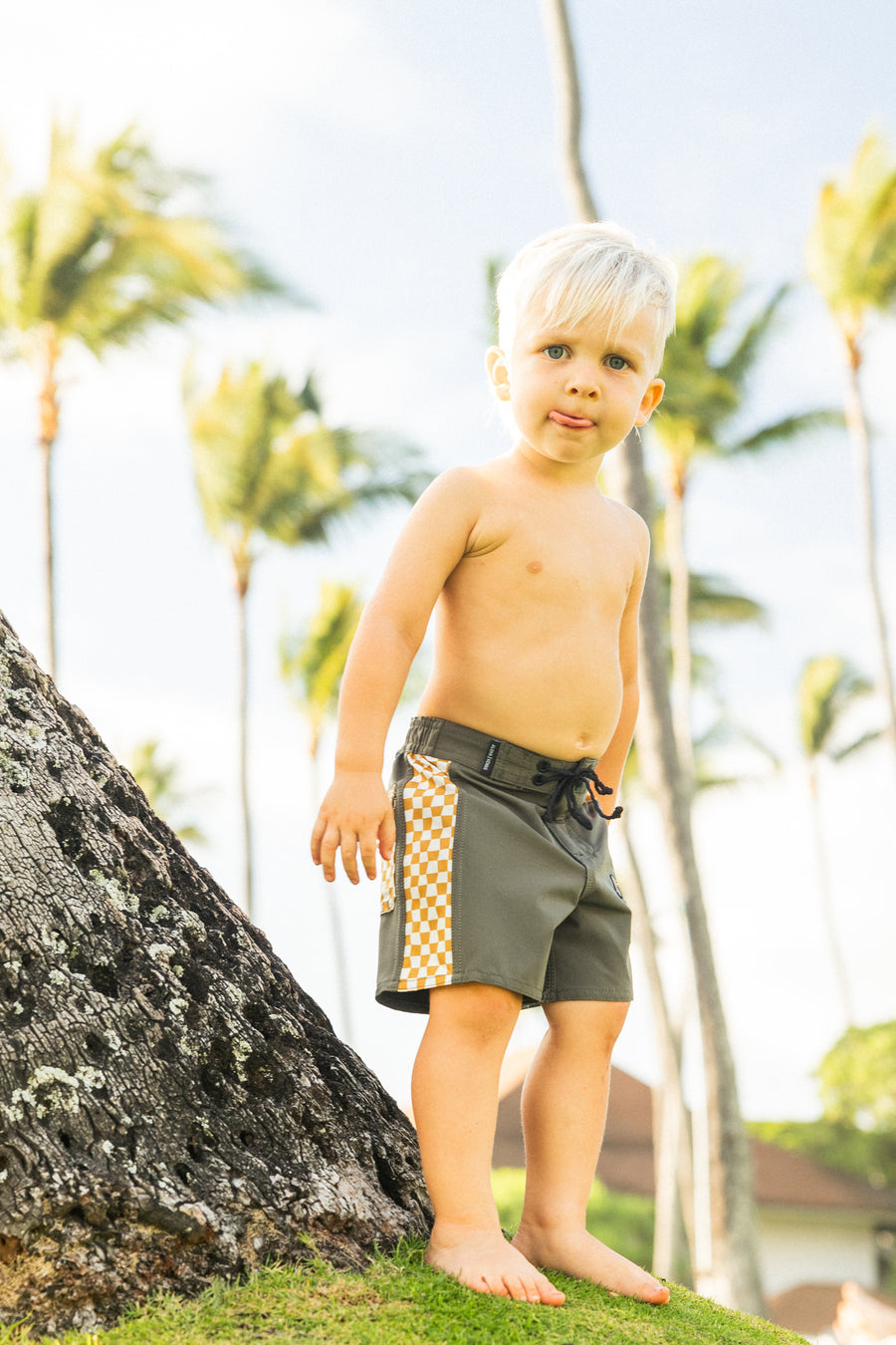 Kids Side Pali Boardshort - Dark Olive/Check