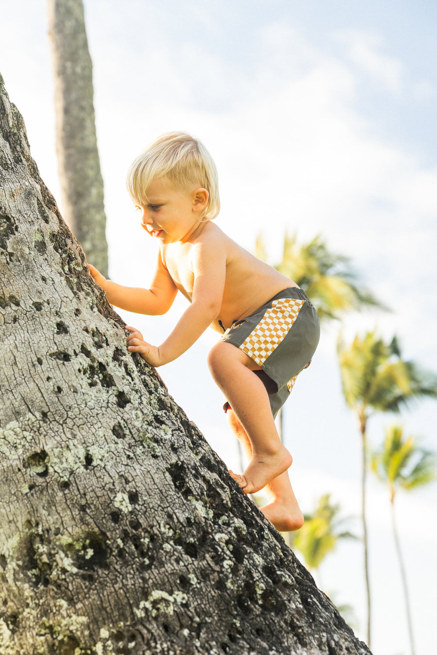 Kids Side Pali Boardshort - Dark Olive/Check