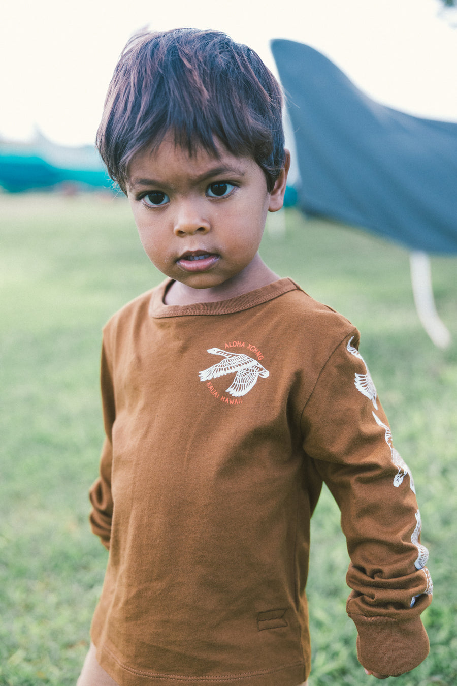 Hawaii Nei Nene Youth Longsleeve Tee