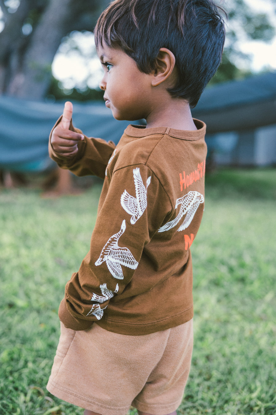 Hawaii Nei Nene Youth Longsleeve Tee