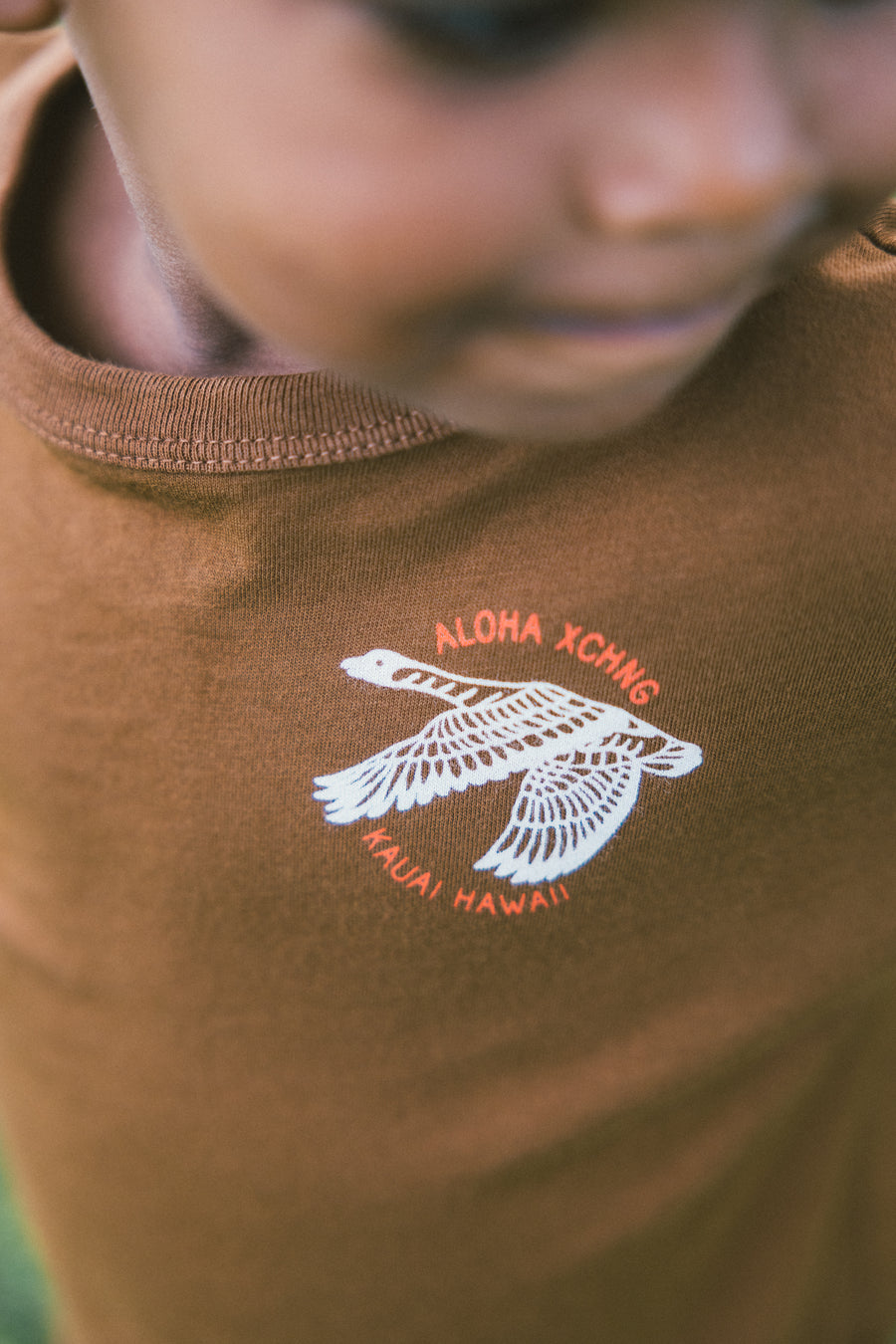 Hawaii Nei Nene Youth Longsleeve Tee