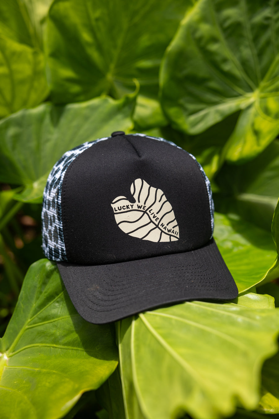 LWLH Kalo Foam Trucker