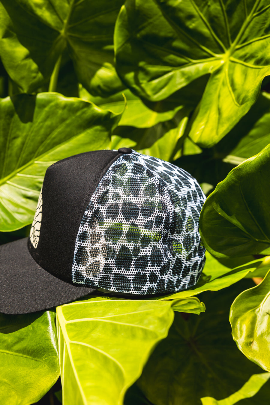 LWLH Kalo Foam Trucker