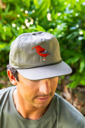 IIwi Embroidered Stretch Cap