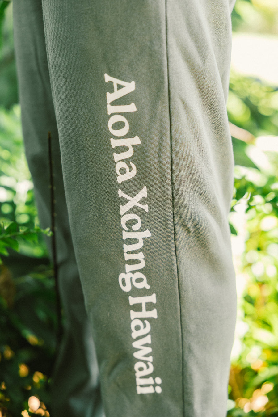M's Koa Sun Classic Sweatpants