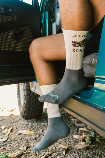 M's New Boar Socks