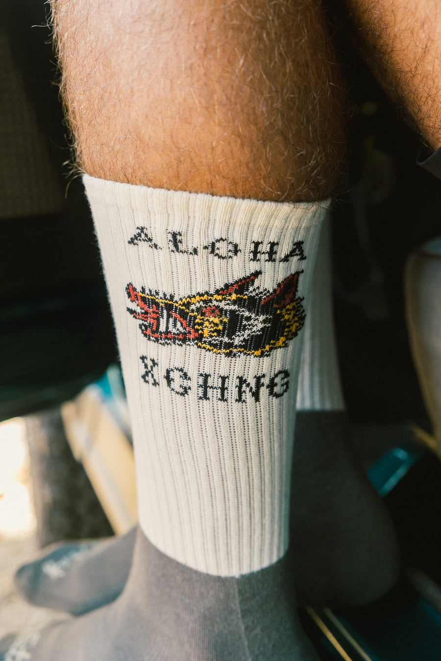 M's New Boar Socks