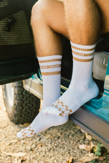 M's Aloha Stripe Socks