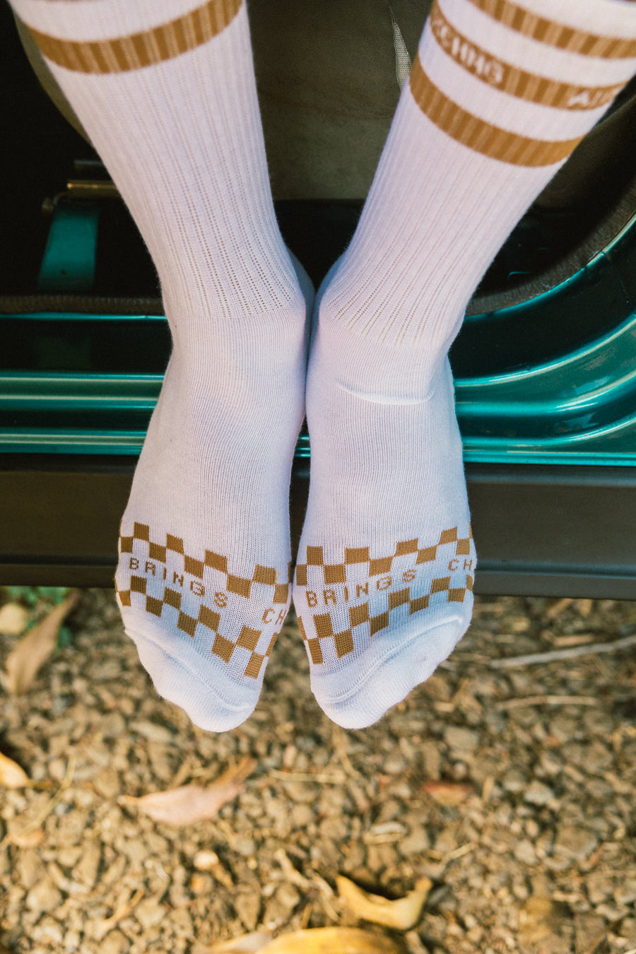 M's Aloha Stripe Socks