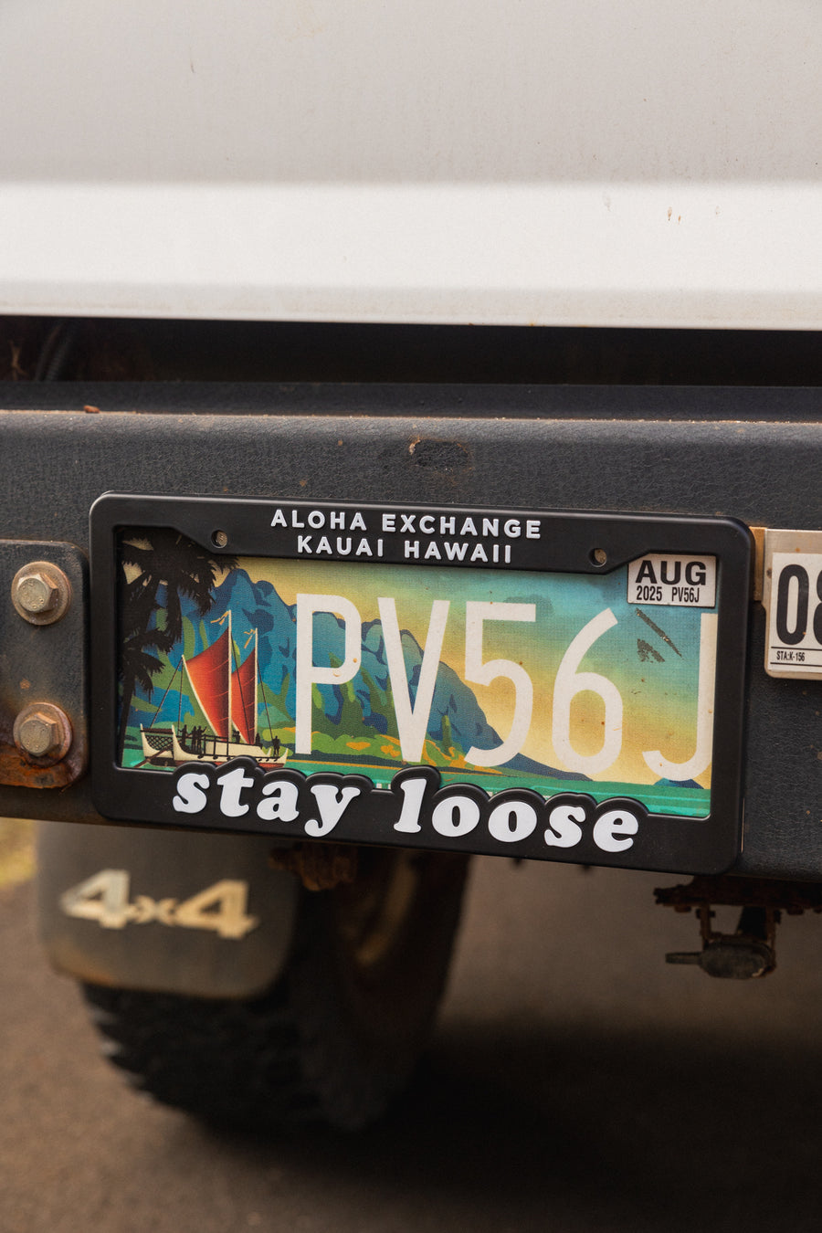 Stay Loose License Plate Cover