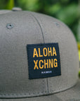 Box Logo Structured Snapback - Olive