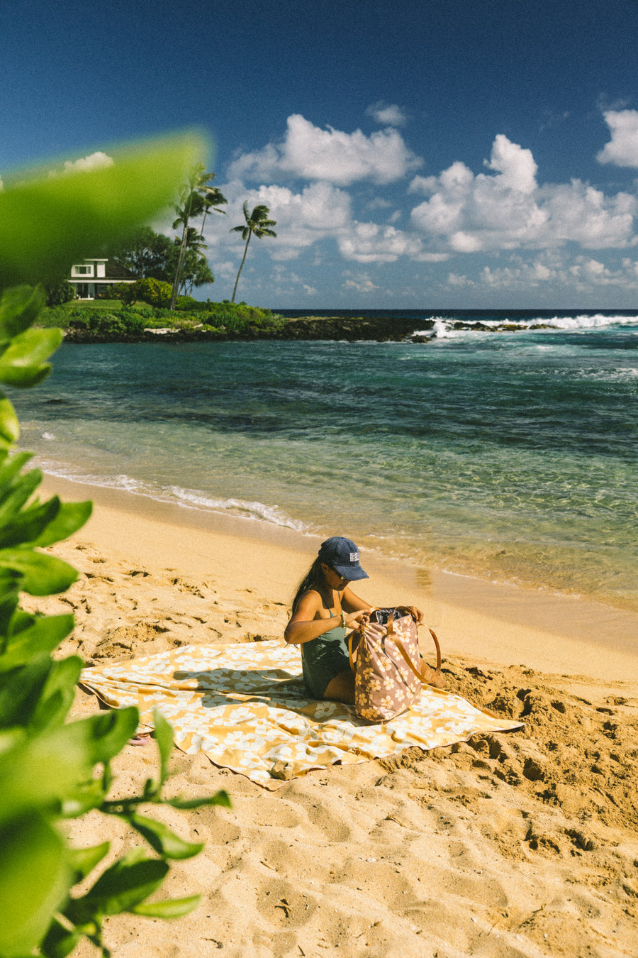 Hau Hibiscus /  Puakenikeni Beach Blanket