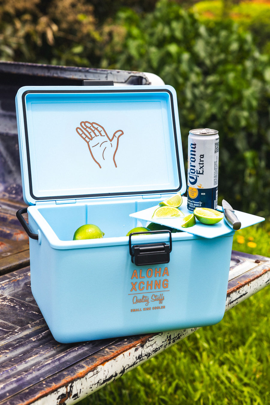 Small Kine Cooler