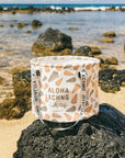 Dry Kine Bucket 20L - Cone Shell