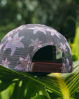 Lily Foam Trucker