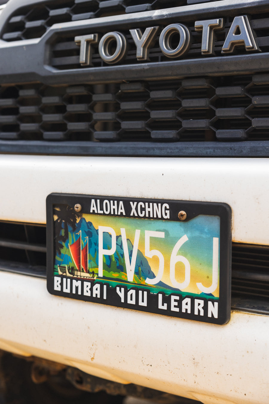 Bumbai You Learn License Plate Cover