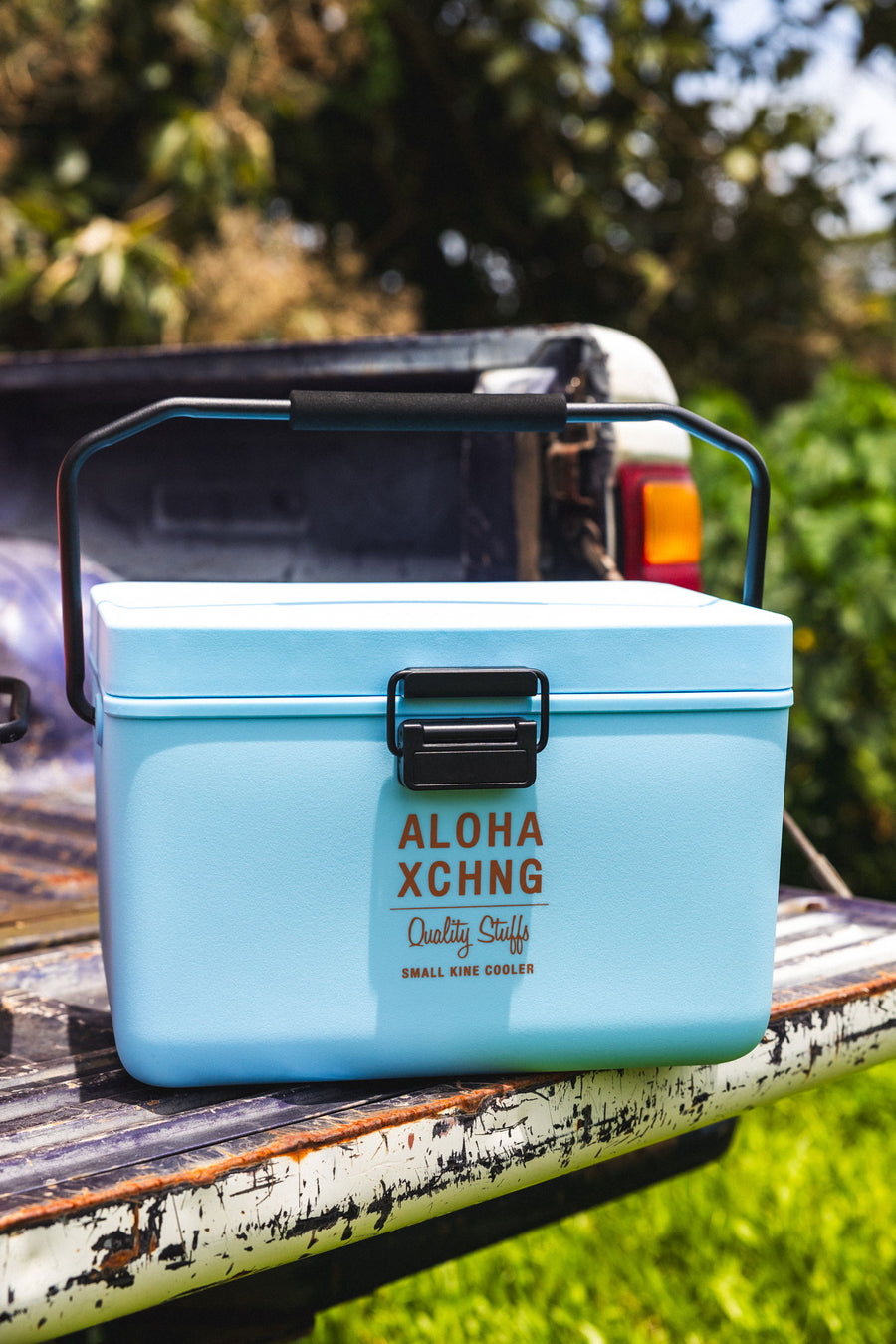 Small Kine Cooler