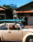 Hanapepe Volkswagon Beetle