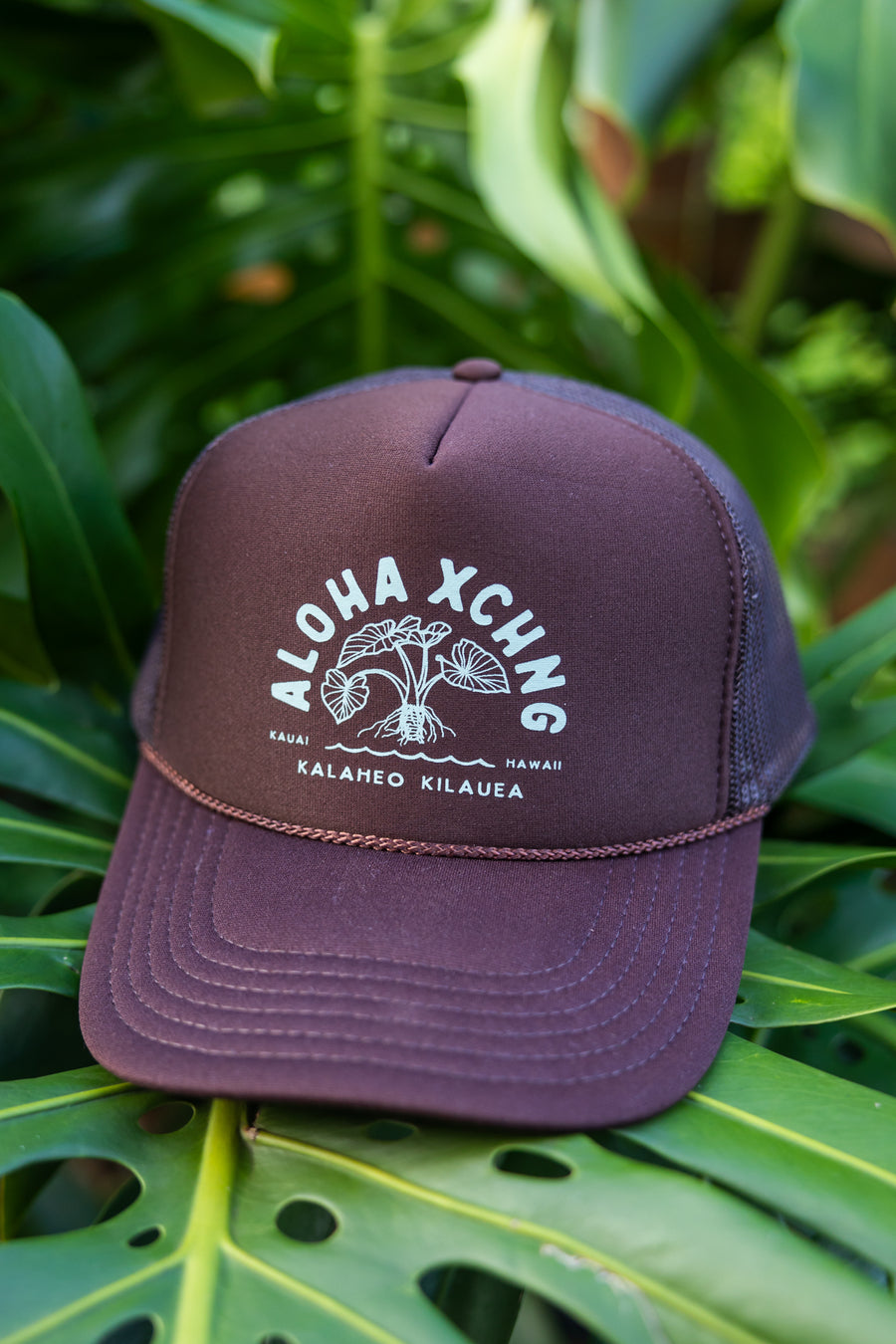 Kalo Trucker Hat