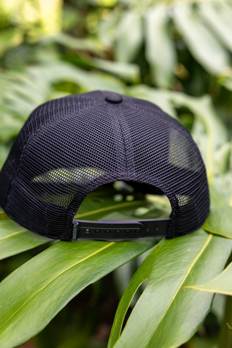 Corpo Logo Structured Trucker - Black