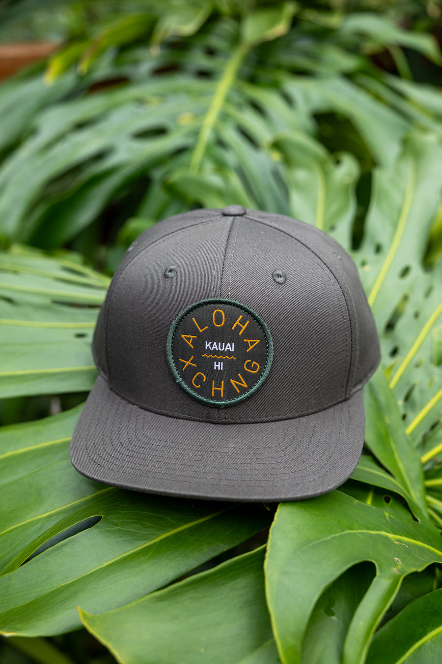 Stamp Logo Structured Snapback - Olive