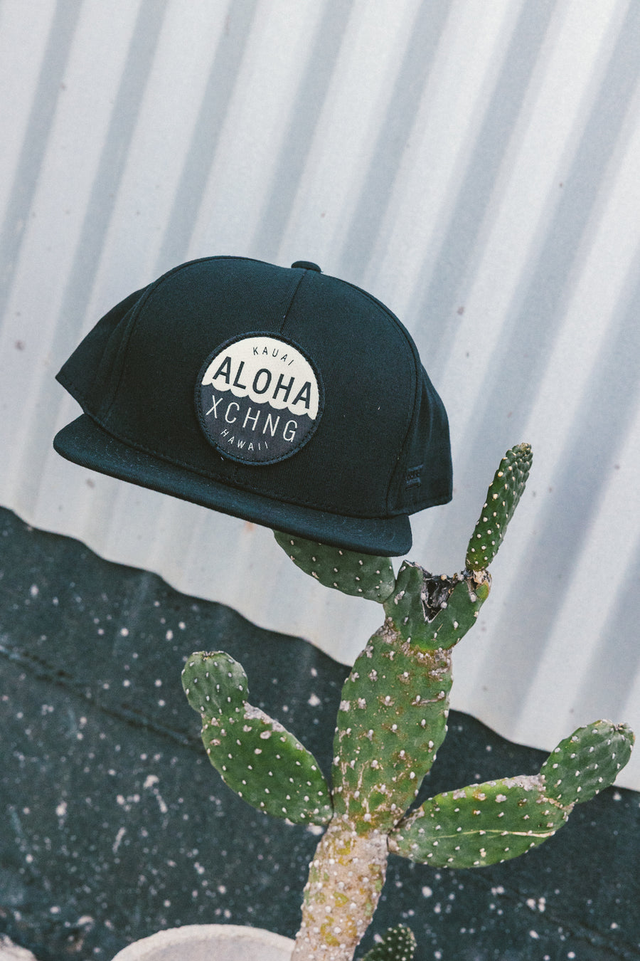 Shop Logo Structured Snapback - Black