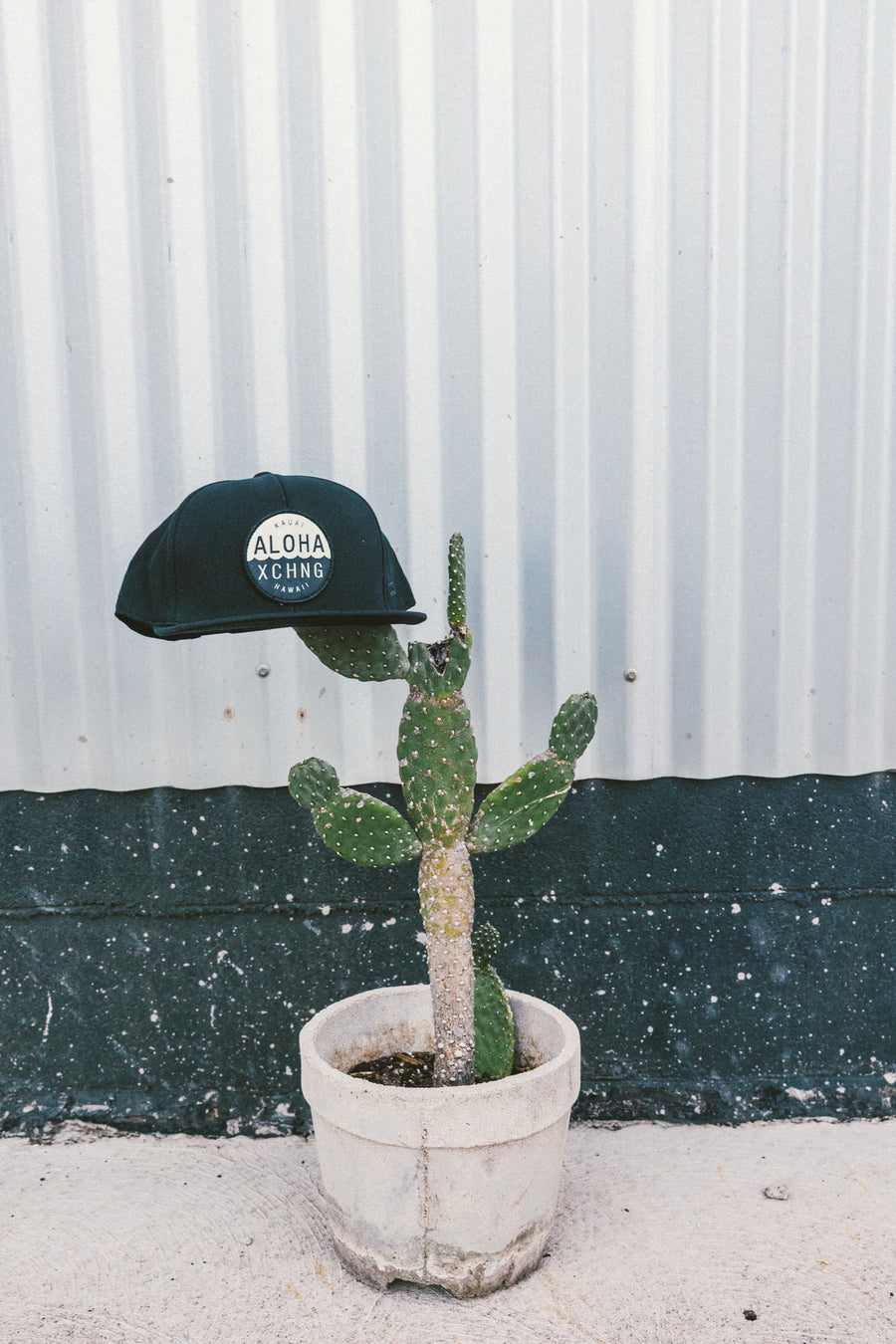 Shop Logo Structured Snapback - Black