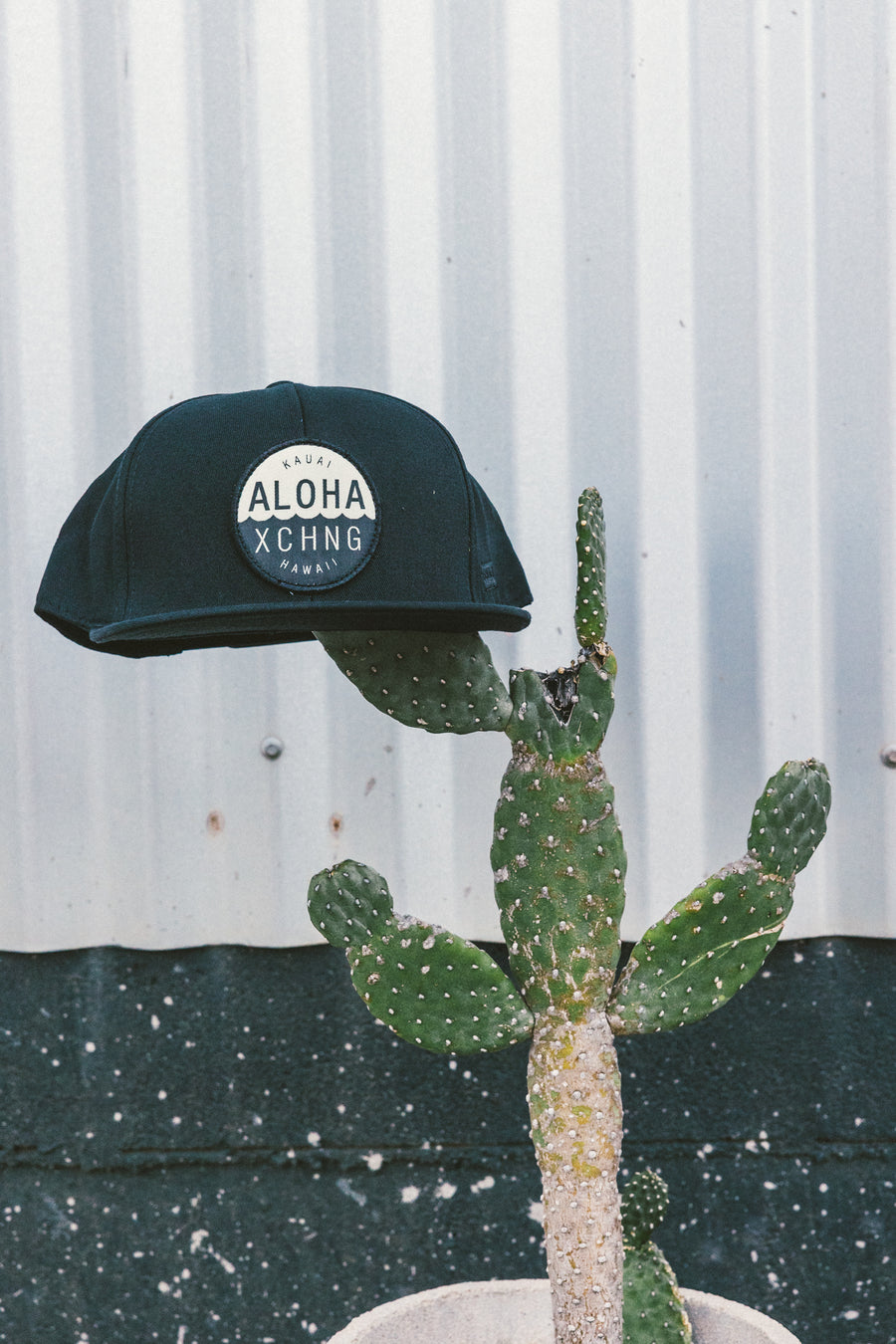 Shop Logo Structured Snapback - Black