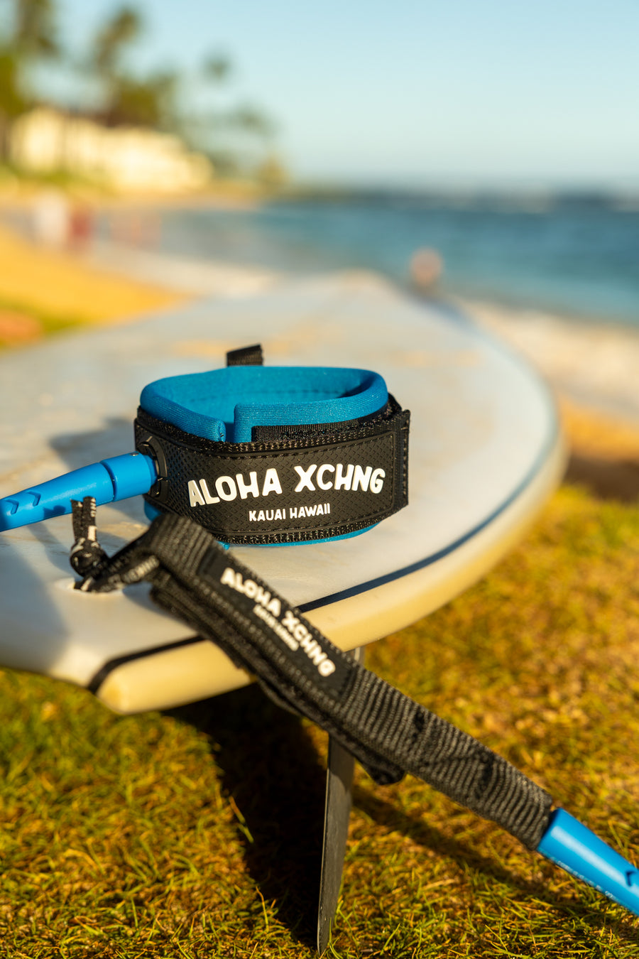 Bettah Days Leash  V.3 - New Blue