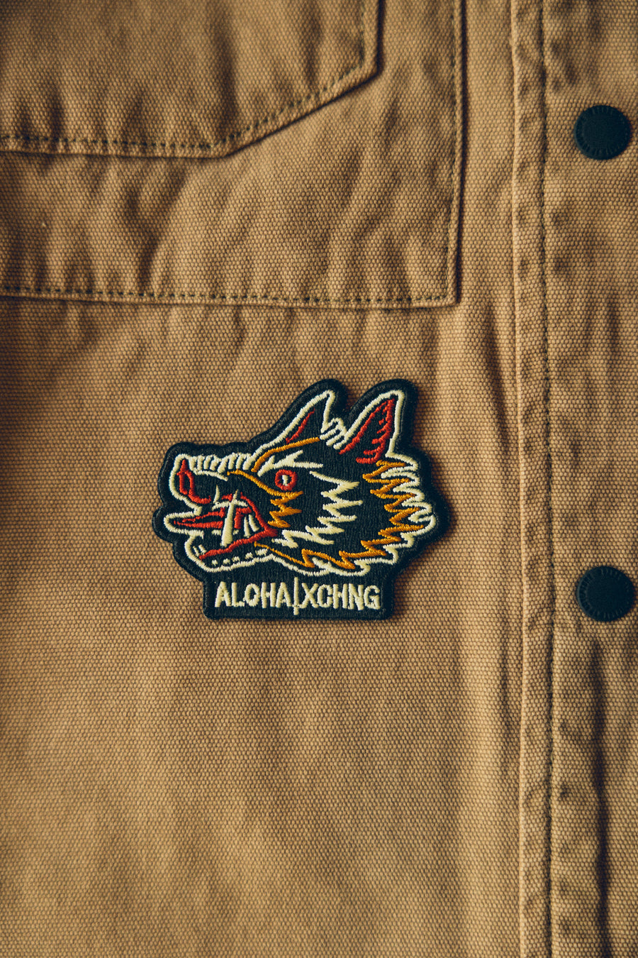 New Boar Patch