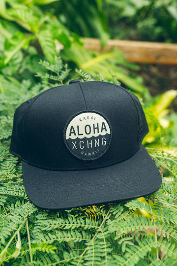 Shop Logo Structured Snapback - Black