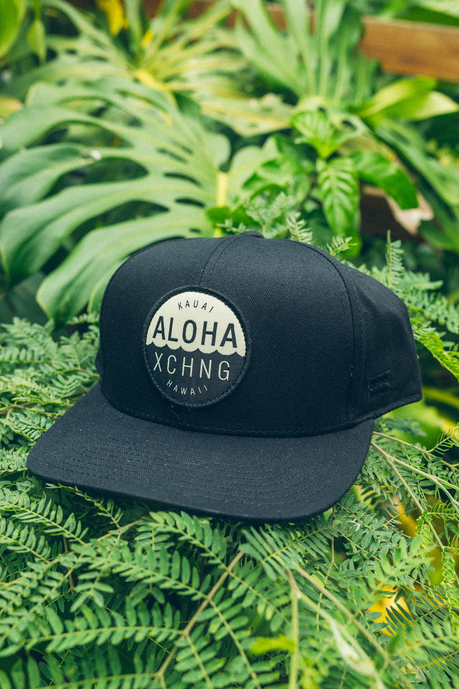 Shop Logo Structured Snapback - Black