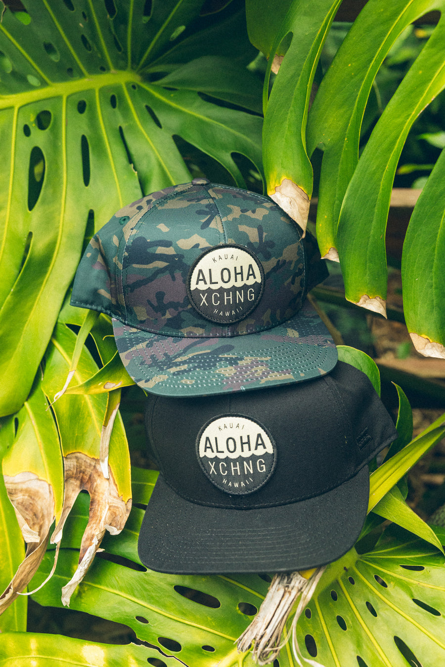 Shop Logo Structured Snapback - Camo