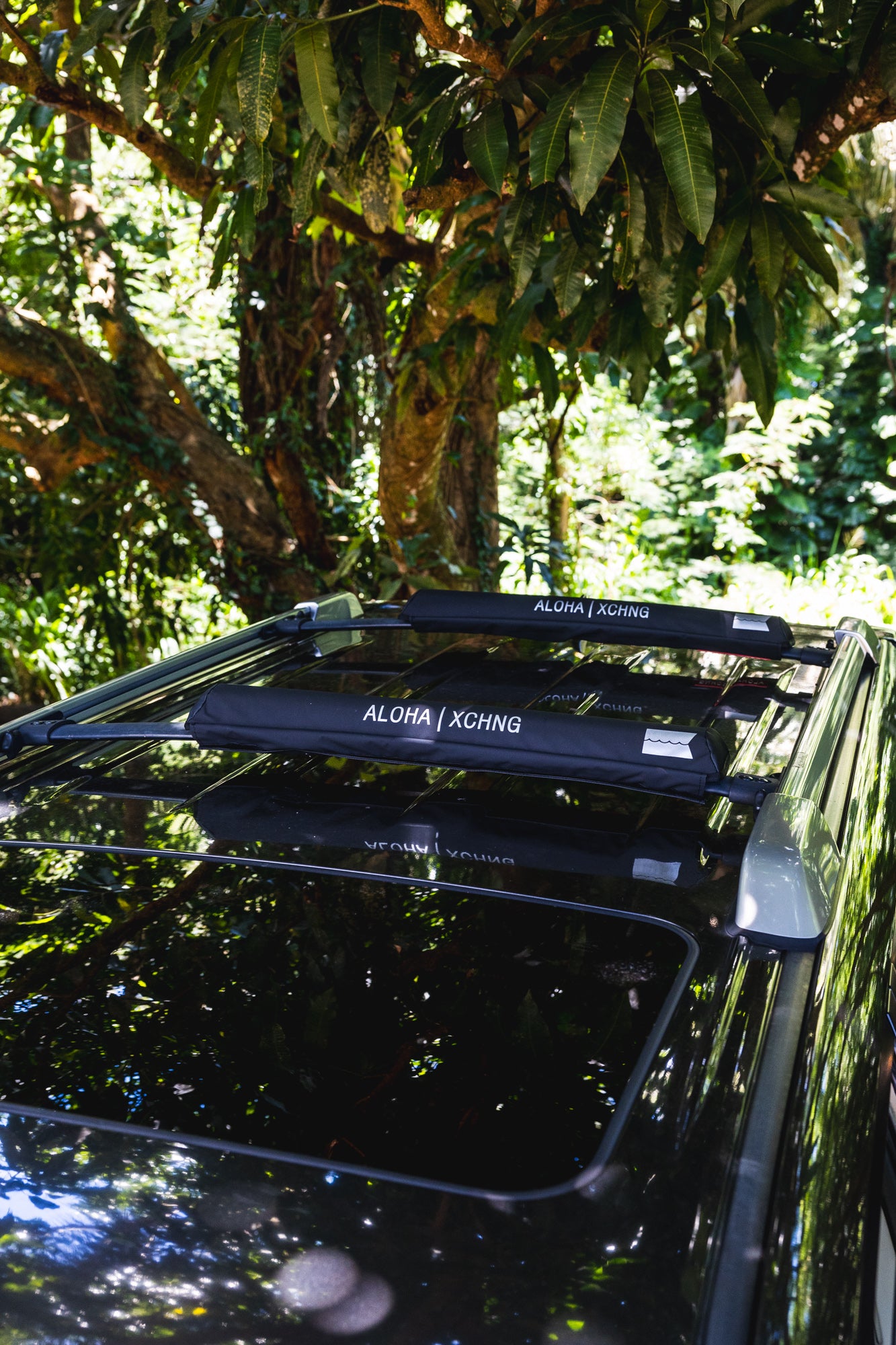 AX NEW Aero Rack Pad 28
