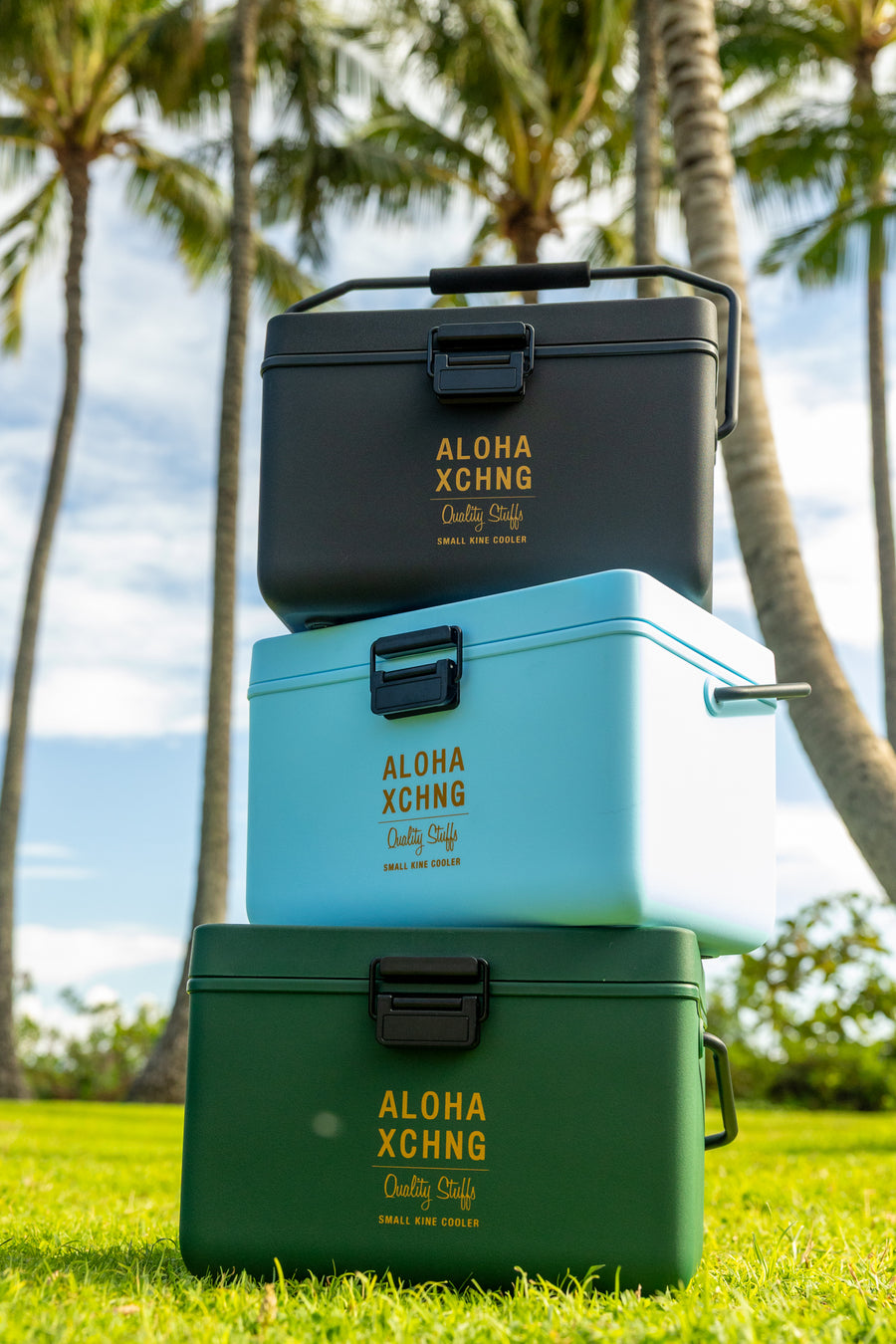 Small Kine Cooler